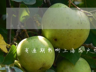 有逾期影响上海落户吗 有逾期影响上海落户吗