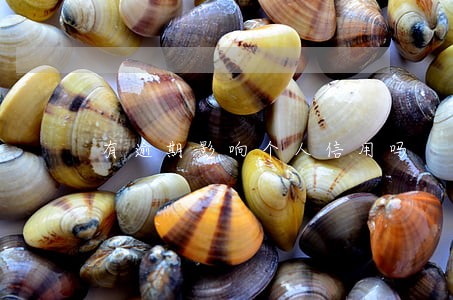 有逾期影响个人信用吗 有逾期影响个人信用吗