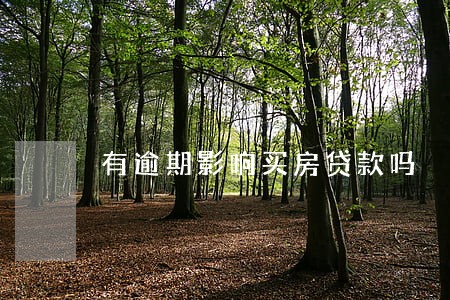 有逾期影响买房贷款吗 有逾期影响买房贷款吗