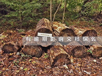 有逾期影响交社保么 有逾期影响交社保么