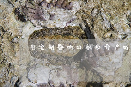 有逾期影响公积金开户吗 有逾期影响公积金开户吗
