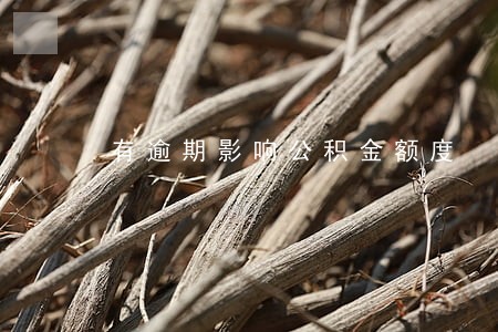 有逾期影响公积金额度 有逾期影响公积金额度