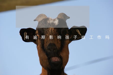 有逾期影响孩子找工作吗 有逾期影响孩子找工作吗