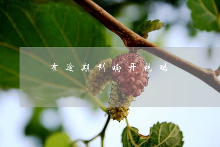 有逾期影响开税吗 有逾期影响开税吗