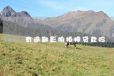 有逾期影响抵押贷款吗 有逾期影响抵押贷款吗