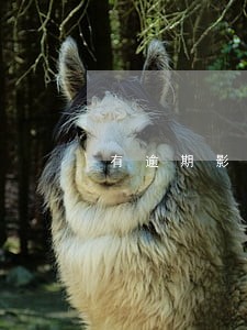 有逾期影响提取住房公积金 有逾期影响提取住房公积金