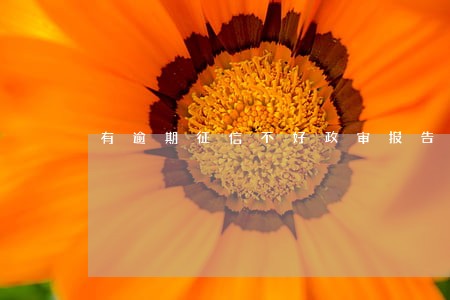 有逾期征信不好政审报告会查到嘛 有逾期征信不好政审报告会查到嘛