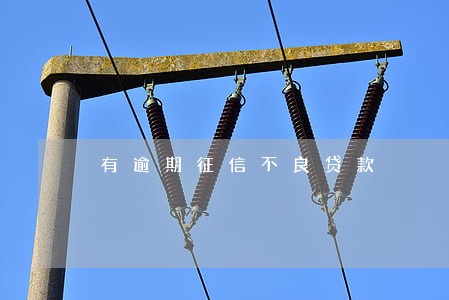 有逾期征信不良贷款 有逾期征信不良贷款