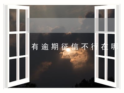 有逾期征信不行在哪可以借钱 有逾期征信不行在哪可以借钱