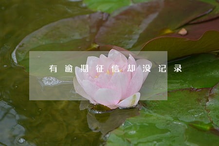 有逾期征信却没记录 有逾期征信却没记录