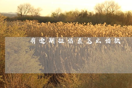 有逾期征信差怎么借款 有逾期征信差怎么借款