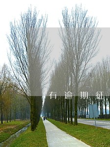 有逾期征信报告 有逾期征信报告