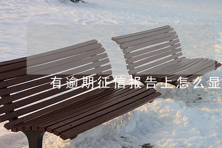 有逾期征信报告上怎么显示 有逾期征信报告上怎么显示