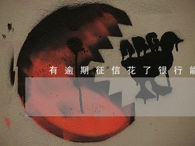 有逾期征信花了银行能贷款吗 有逾期征信花了银行能贷款吗