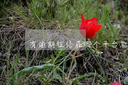 有逾期征信花哪个平台能借到
