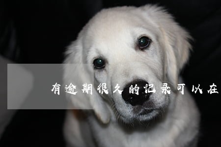 有逾期很久的记录可以在哪借款 有逾期很久的记录可以在哪借款