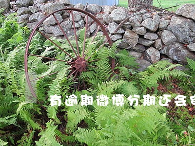 有逾期微博分期还会审核通过么 有逾期微博分期还会审核通过么