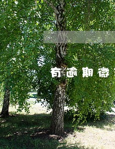 有逾期微现金的吗 有逾期微现金的吗