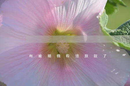有逾期微粒贷放款了 有逾期微粒贷放款了