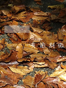 有逾期微粒贷申请额度吗 有逾期微粒贷申请额度吗