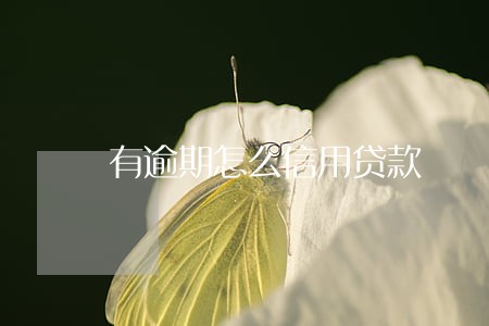 有逾期怎么信用贷款