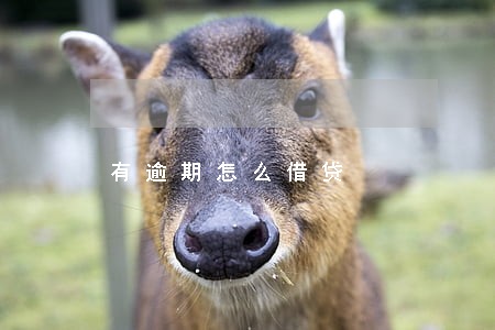 有逾期怎么借贷 有逾期怎么借贷