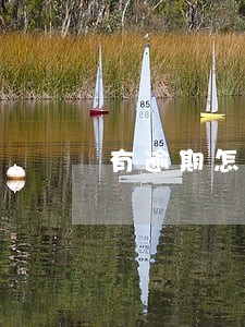 有逾期怎么办平安车抵贷