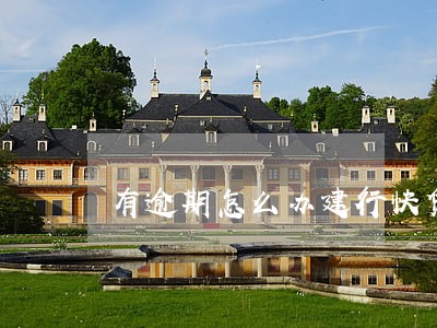有逾期怎么办建行快贷 有逾期怎么办建行快贷