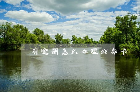 有逾期怎么办理公务卡 有逾期怎么办理公务卡