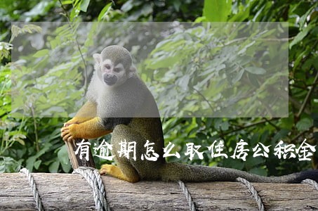 有逾期怎么取住房公积金