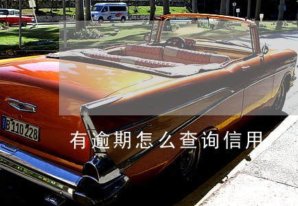 有逾期怎么查询信用 有逾期怎么查询信用