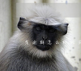 有逾期怎么样做买房按揭 有逾期怎么样做买房按揭