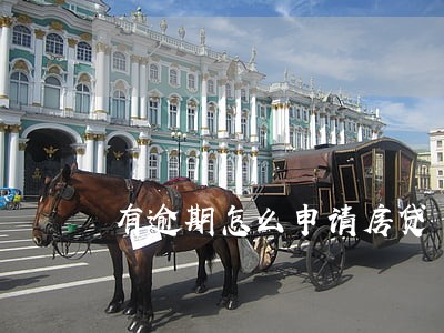 有逾期怎么申请房贷 有逾期怎么申请房贷