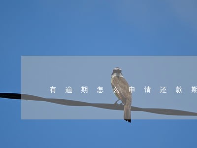 有逾期怎么申请还款期限