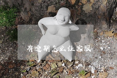 有逾期怎么让客服