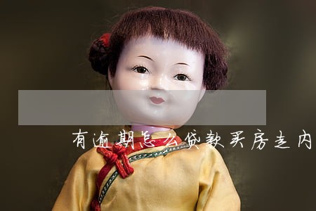 有逾期怎么贷款买房走内部手续 有逾期怎么贷款买房走内部手续