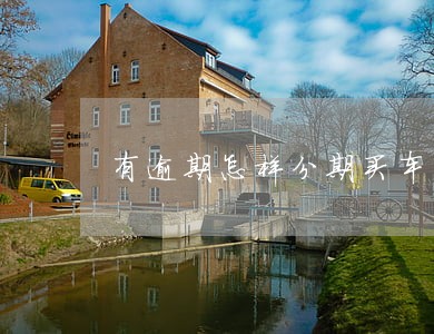 有逾期怎样分期买车 有逾期怎样分期买车