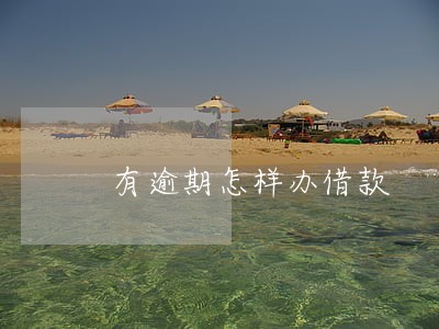 有逾期怎样办借款