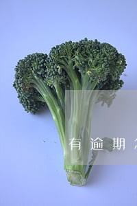 有逾期怎样办理车贷 有逾期怎样办理车贷