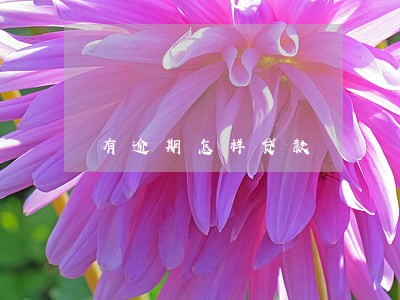 有逾期怎样贷款 有逾期怎样贷款
