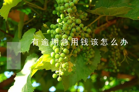 有逾期急用钱该怎么办 有逾期急用钱该怎么办