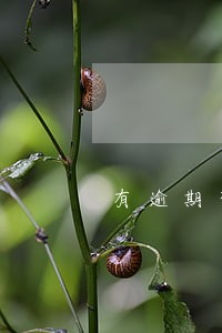 有逾期想买房 有逾期想买房