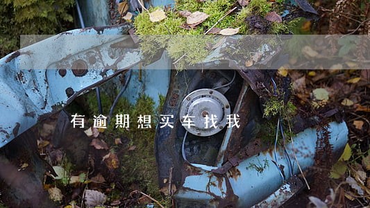 有逾期想买车找我 有逾期想买车找我