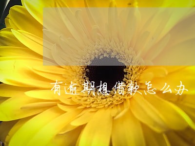 有逾期想借款怎么办 有逾期想借款怎么办