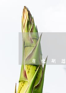 有逾期想办张信用卡 有逾期想办张信用卡
