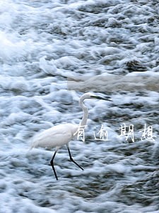 有逾期想办按揭怎么办 有逾期想办按揭怎么办