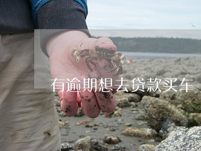 有逾期想去贷款买车 有逾期想去贷款买车
