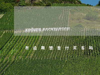 有逾期想首付买车吗 有逾期想首付买车吗