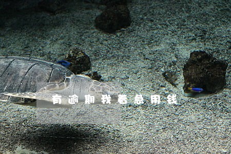 有逾期我着急用钱 有逾期我着急用钱