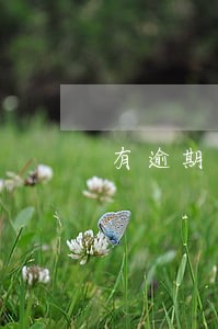 有逾期或欠息记录 有逾期或欠息记录